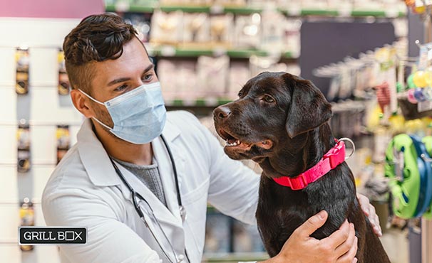 Veterinario con tapabocas revisando a un perro de color negro y collar rojo